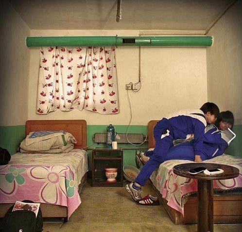 菏泽市裕鑫水泥预制品有限公司 招标 行业传闻)得知的招标信息