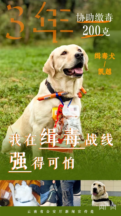 无限臀山日韩高清 臀山如果你有其他问题