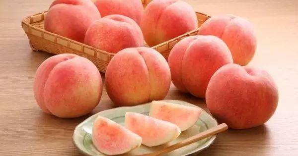 久久精品一区二区三区中文字幕