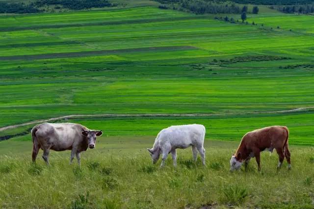 在线天堂中文新版最新版 线天新版简直是堂中福音