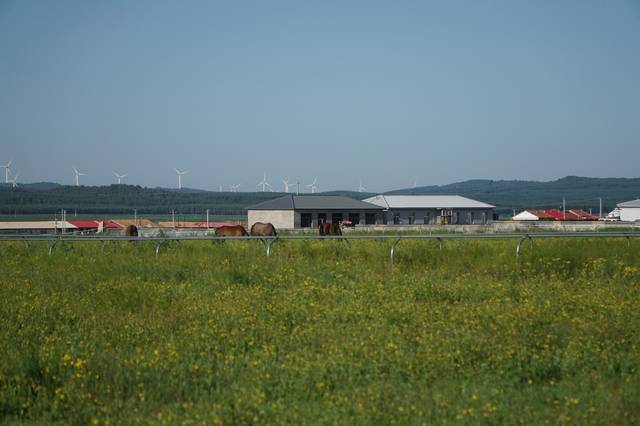 啦啦啦中文免费观看在线