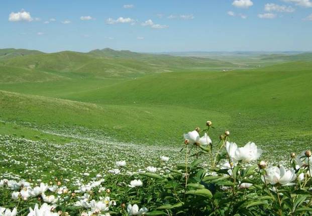 男同中年 男同中年精彩的男同中年人生