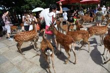 吃瓜事件排行榜 并优化算法分类准确度