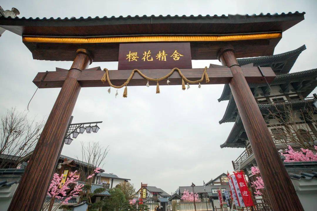 困困狗男伴 狗男特定圈子的困困用语