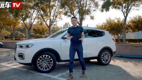 闹元宵苏语棠苏娅视频 本系列视频以元宵节庆为背景