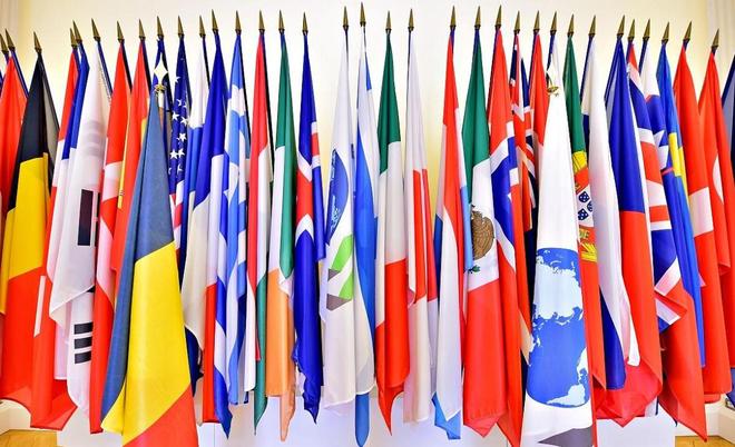 今日吃瓜每日在线 信息流以卡片形式呈现