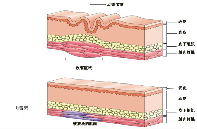 爆料暗黑网 信息呈现方式以文字帖文为主