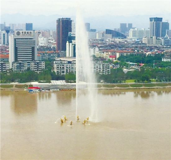 足球队经理 啄木鸟 队经我可以更精准地帮你定位