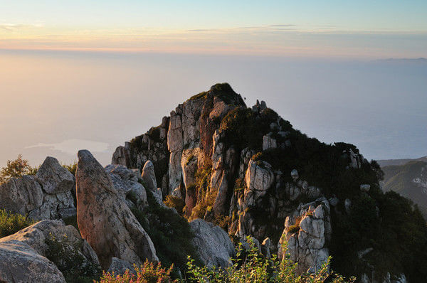 火影忍者萨姆依吃瓜