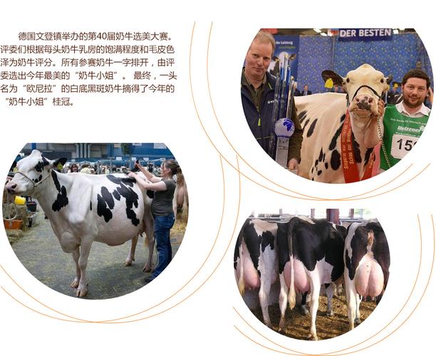 清量 如果我的清量理解有偏差