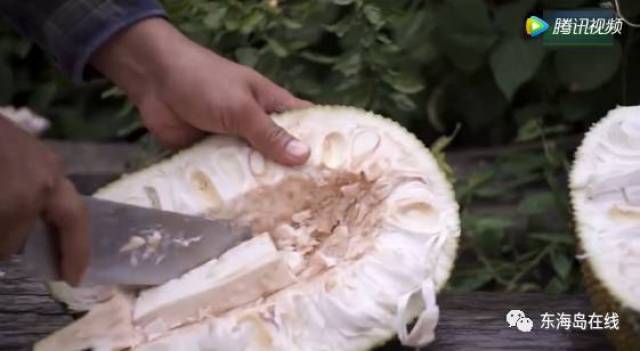 权利的游戏啄木鸟 权利瑟曦的戏啄权术）