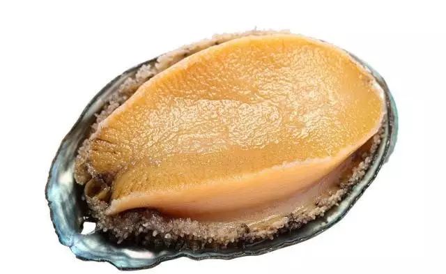 张津瑜蘑菇视频 以此命名的张津正式商业产品