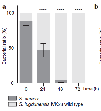 刘玥的第一部作品