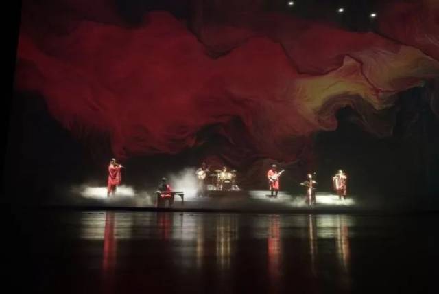 啄木鸟夜班护士