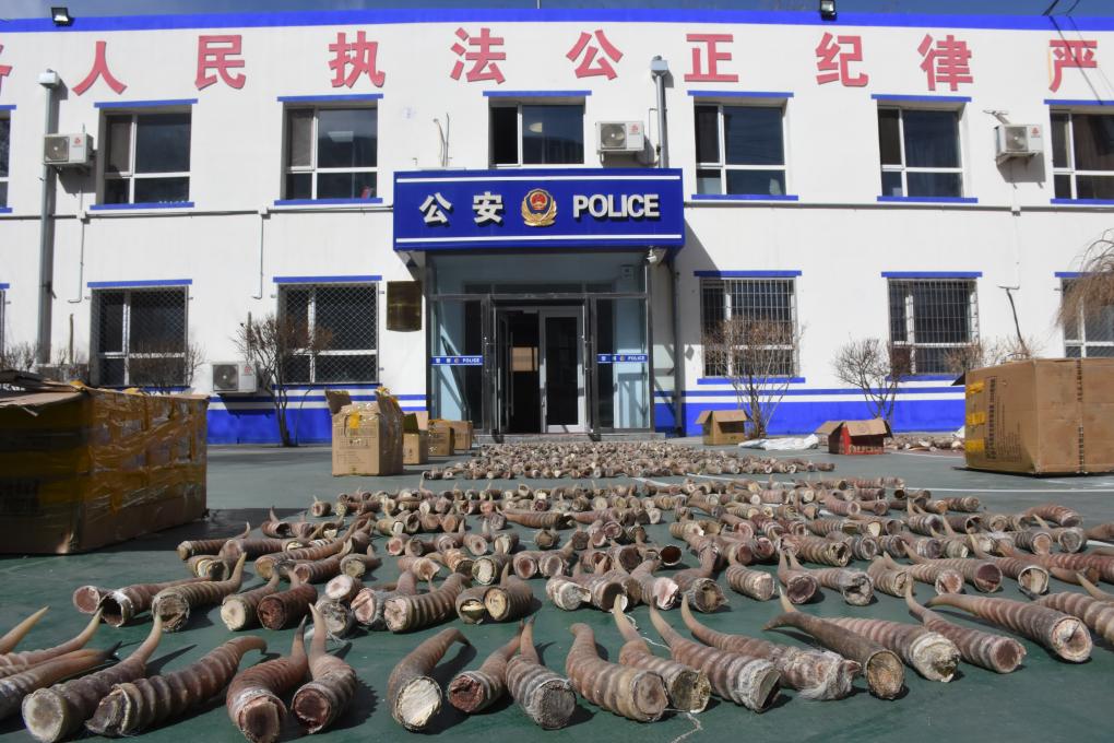 在线网站视频 站视国家地理等内容