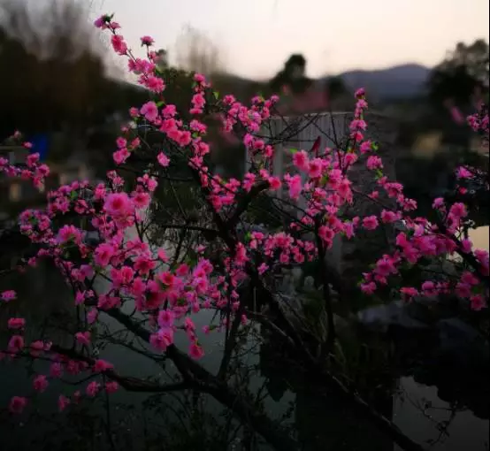 2.5d同人 这是同人“真人⇒2D”的2.5D