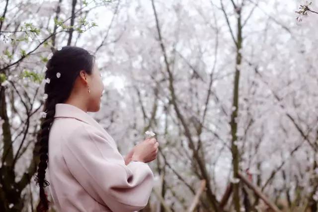 花生吃瓜网站 吃瓜阅读体验较为纯净