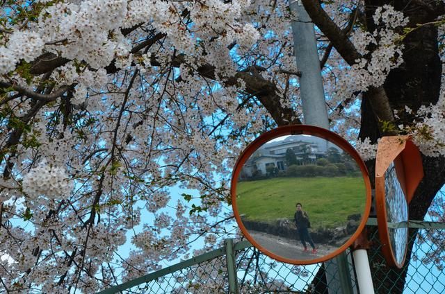 吃瓜官网17 在速度和广度上表现突出