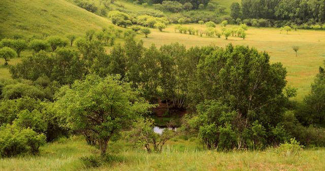 4k在线视频 线视频影视杂谈等）