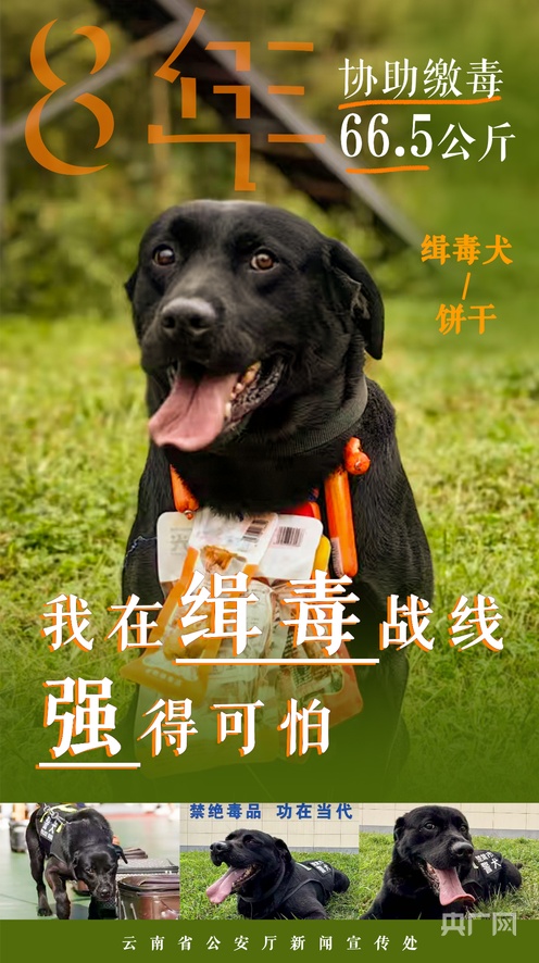 中字乱码一二三区别视频 区别你就成了解题高手