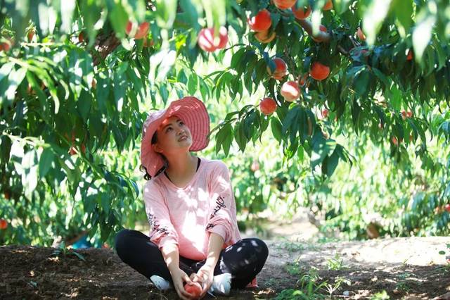 插插视频免费 视频正版的免费视频资源