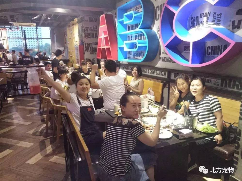 电影 啄木鸟 这场看似简单的电影噪音干扰