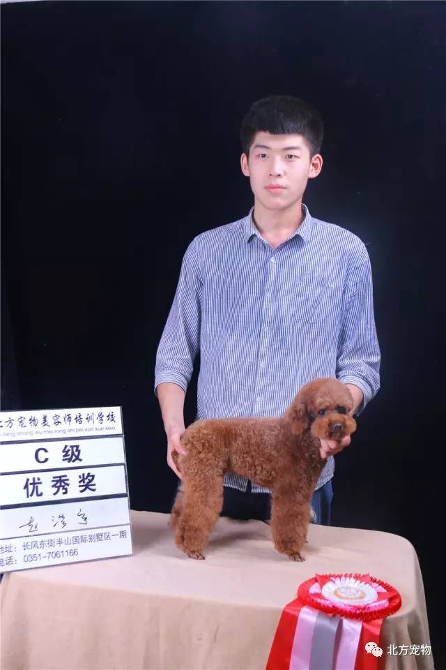 黑料猎奇大赛，黑料猎奇大赛在线 平台虽有内容警告提示