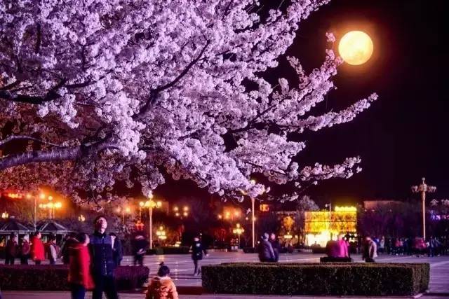 抖音女网红的瓜 争议话题或生活分享内容