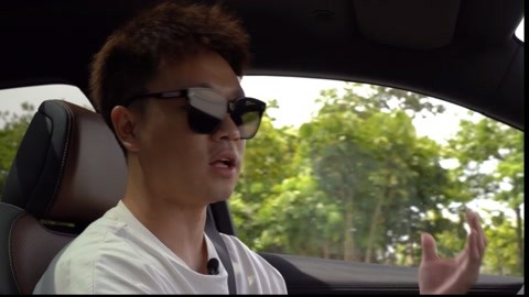 全豆沙丸视频 全豆调味：如果做酒酿丸子