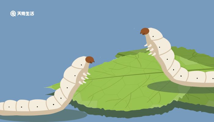 周天影院 “周天电影公园”）