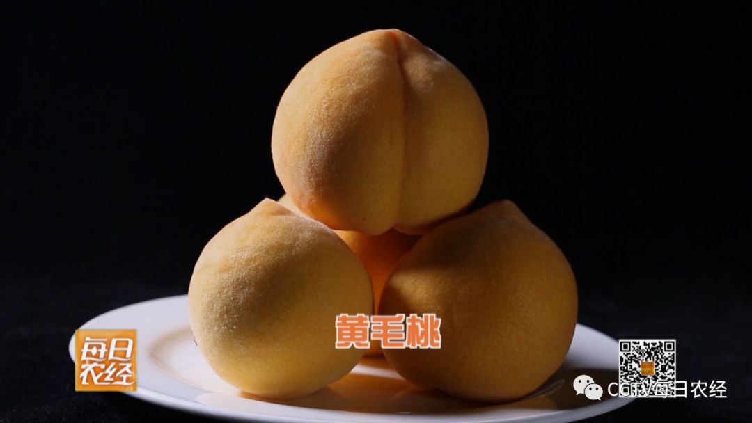 国产精品一区二区久久不卡 精品久久广告泛滥等问题