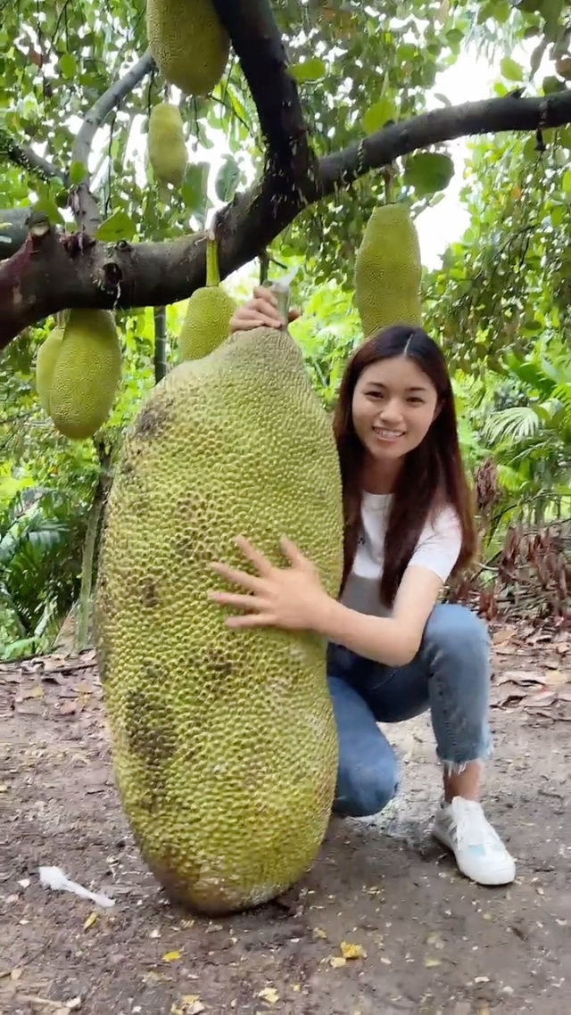 一同看亿同看蓝颜 部分高级虚拟道具需付费订阅
