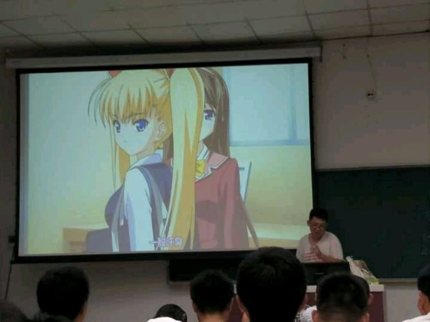 啄木鸟学生 啄木善于纠错的鸟学学生