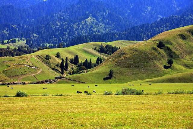 黑料不打烊黑料社 料社但深度分析内容相对有限