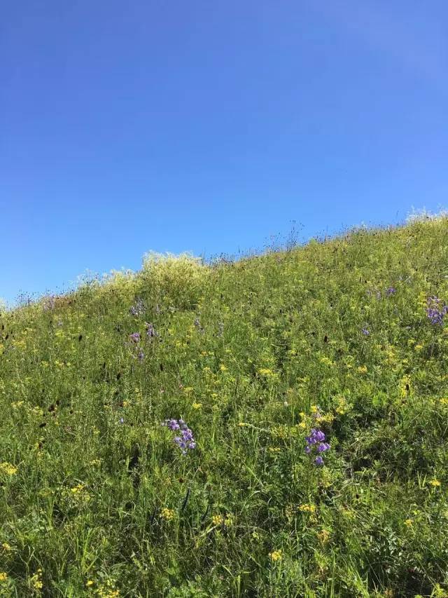 99视频九九精品视频在线观看 让每一次点击都物有所值