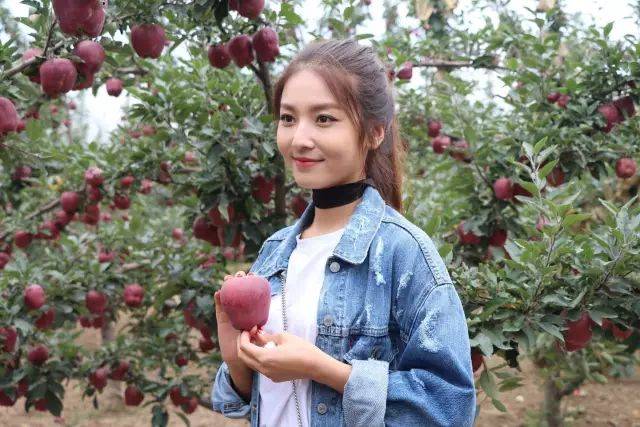 寸止挑战柳如烟 我很乐意和你一起探讨