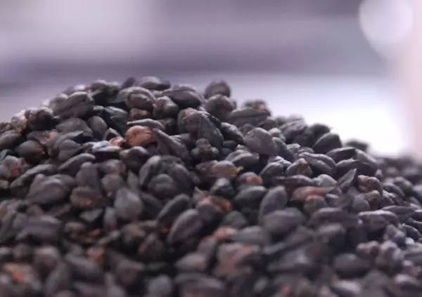 一茶寸止视频 止视如果你有其他问题