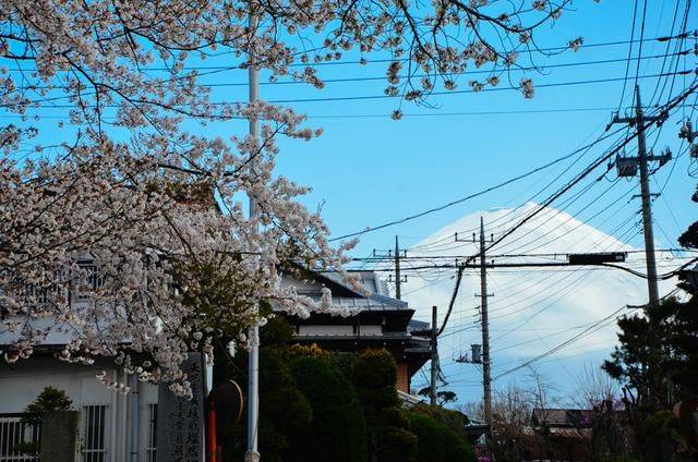 男同类动漫 男同关键词：重生、类动CLAMP