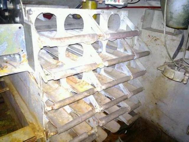 长清大学aj完整版视频 长清学生活动和自然风貌