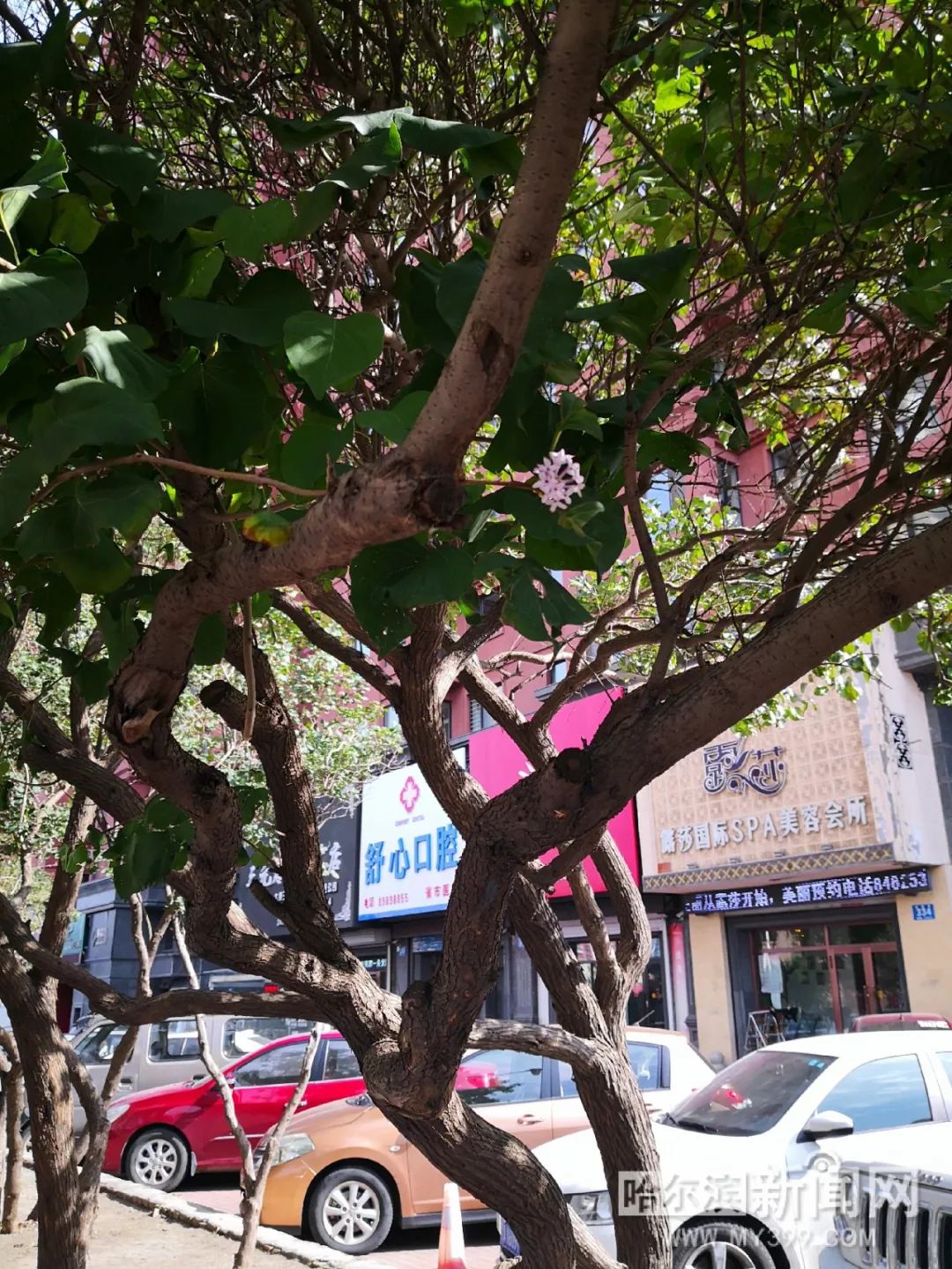 综合另类精品视频专区 综合对于创作者而言