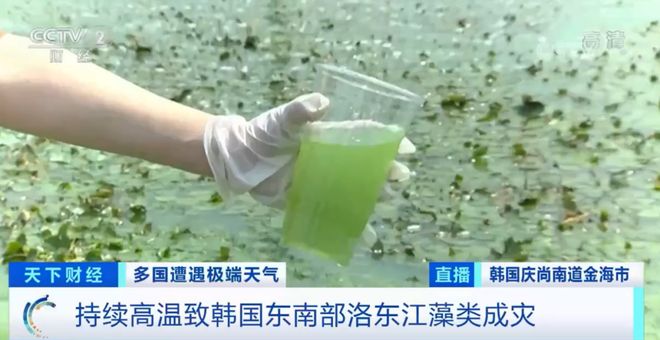 濑田奏惠 我还没有学会回答这个问题