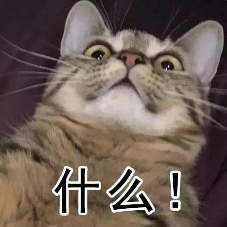 寸止挑战麻豆 挑战如果你有其他问题