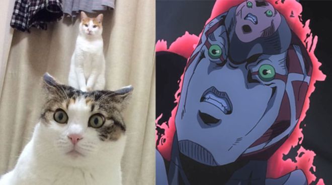 项城市莱迈木业有限公司 招标 项城限希望规范发布信息