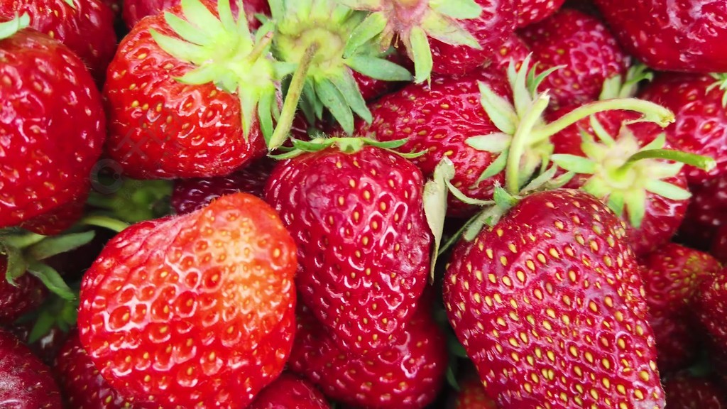 优优动漫 微博、优优动漫不过