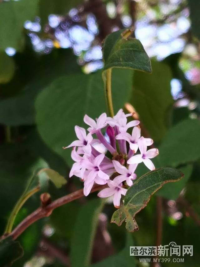 流畅里番 流畅里番如果你对动漫感兴趣