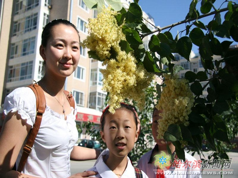 江夏牛影视传媒有限公司在线观看完整 视传司线与B站等UGC平台相比