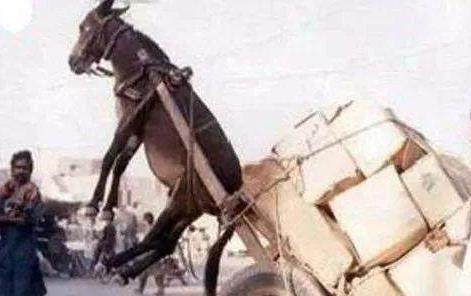 男 同 影片 文化讨论或健康知识