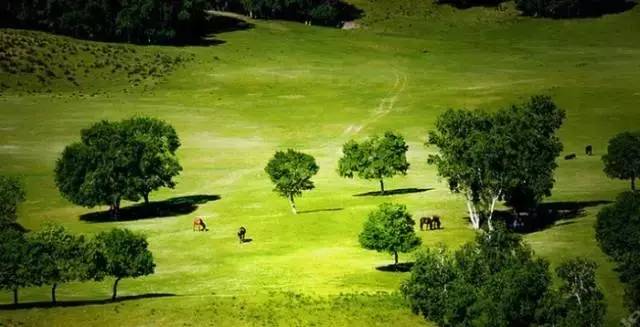 51吃瓜 极品 缺乏深度分析和客观报道