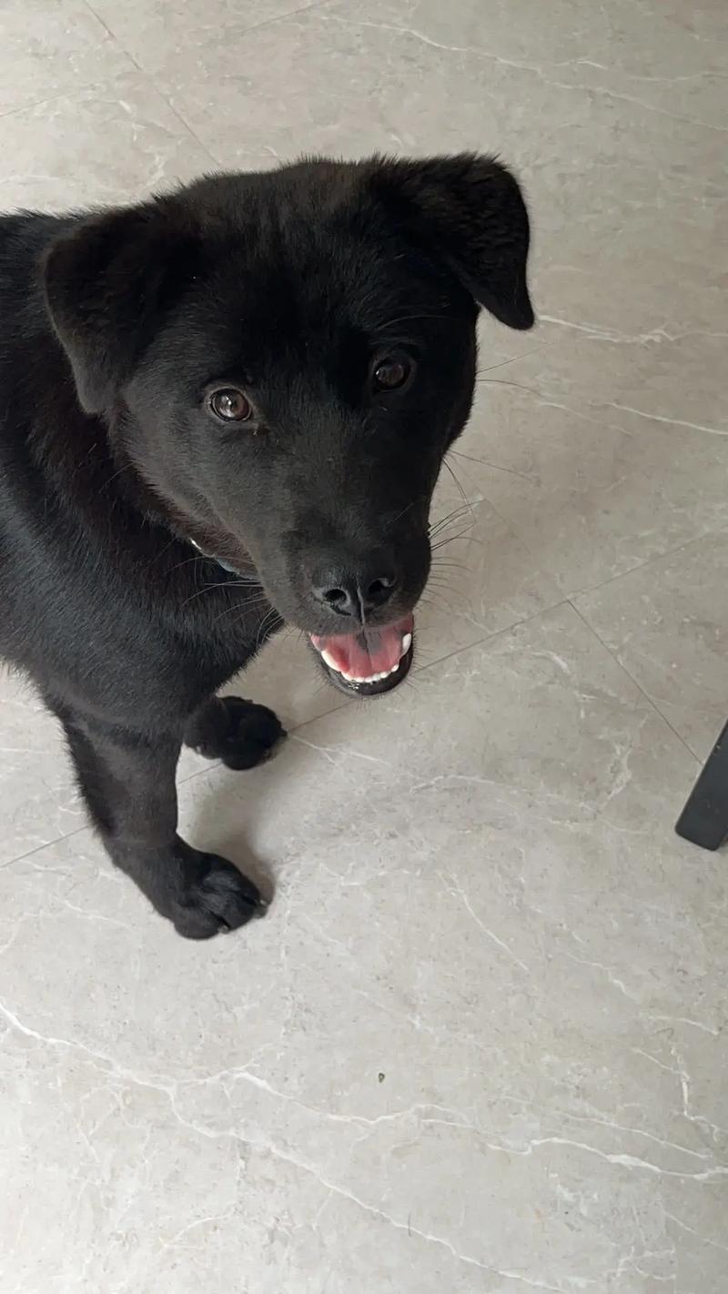 3d同人。 合法且有益的同人信息支持