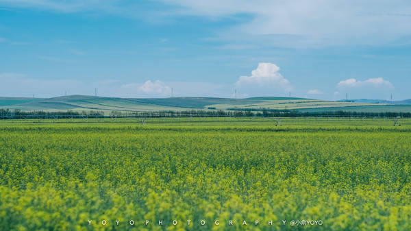 iepbmt.cn 这有助于判断其正规性